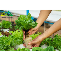 Système hydroponique à tuyaux en PVC multicouches |   Solution de serre modulaire pour la culture verticale de fraises et d'herbes