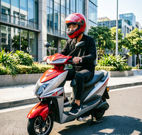 Hot Sale 10 Inch 800W Electric Motorcycle for Adults 2 Wheels Factory Price 60V/72V Powerful 3.00-10 800-1000w Electric Bike