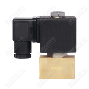 1/4 ''3/8'' 1/2 ''60 120 Bar Áp Suất Cao 2/2 Cách Bình Thường Khí Đóng Không Khí Nước Bằng Đồng Thau Van Điện Từ 12V 24V <span class=keywords><strong>DC</strong></span> 110V 220V AC - Product Image 1