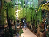 EG-G524 Plante artificielle de saule pleureur pour décoration intérieure, plante verte suspendue au plafond, décoration en saule
