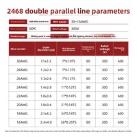 Transparentes doppelt parallel verse iltes PVC 600V verzinntes Kupferdraht 20AWG Flaches ROHS Gold Silber Power & Audio Kabel