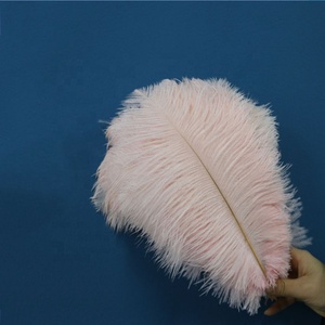 Plumes d'Autruche Grandes, Teintes, Multicolores, Lisses et Moelleuses <span class=keywords><strong>de</strong></span> Haute Qualité 30-35 cm en Gros - Product Image 4