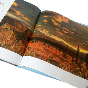 Servicios de Impresión de Libros Rentables, Álbum de Fotos Personalizado de Viajes, Arte y Familia, Impresión de Libros de Fotos de Boda - Product Image 1