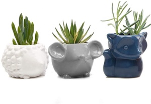 Macetas de Cerámica al por Mayor, Macetas de Flores con Diseño de Animales de Dibujos Animados, Rata, Búho, Zorro, Oso, Cactus, Mini Macetas de Cerámica para Suculentas - Product Image 3