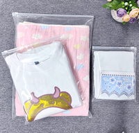 Grand sac de rangement multi-tailles en plastique recyclable avec fermeture éclair auto-scellante pour sous-vêtements, transparent et refermable