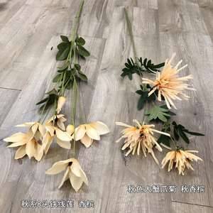 Fleurs artificielles en soie couleur champagne LO-627, fleurs neutres couleur champagne pour événements et centres de table DIY - Product Image 5