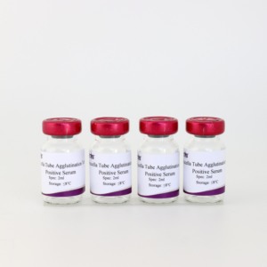 Prueba de control de anticuerpos positivos a Brucella para diagnóstico serológico de SAT/Brucelosis/pruebas de enfermedades en ganado - Product Image 4