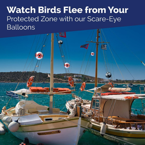 Boule répulsive gonflable d'oiseau <span class=keywords><strong>de</strong></span> Pvc d'yeux <span class=keywords><strong>de</strong></span> terreur <span class=keywords><strong>de</strong></span> contrôle d'oiseau pour le <span class=keywords><strong>bateau</strong></span> <span class=keywords><strong>de</strong></span> jardin <span class=keywords><strong>de</strong></span> patio <span class=keywords><strong>de</strong></span> piscine - Product Image 6