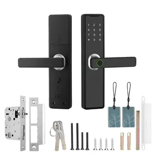 Hot Sale Digital Remote Control TT Lock Wifi App Biometric Fingerprint Residence Smart Lock European Style Smart Home Door Lock
