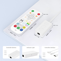 Contrôleur LED IoT RGB CCT double mode SP545E avec télécommande, commande vocale, synchronisation haut-parleur intelligent, capture musicale, 5 canaux, portée 30M, étanche