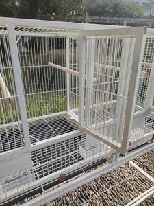 Casa degli uccelli per la casa all'aperto <span class=keywords><strong>Bluebird</strong></span> Wit Casas De Passaros gaiolas Grandes Para Passaros gabbie per uccelli in vendita in Pakistan - Product Image 2