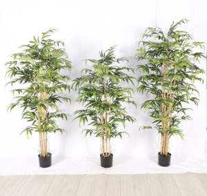 Conjunto <span class=keywords><strong>de</strong></span> jardín <span class=keywords><strong>de</strong></span> <span class=keywords><strong>decoración</strong></span> <span class=keywords><strong>de</strong></span> <span class=keywords><strong>interiores</strong></span>, plantas <span class=keywords><strong>de</strong></span> bambú <span class=keywords><strong>de</strong></span> seda, Amazonas <span class=keywords><strong>de</strong></span> alta calidad, árbol Artificial japonés en línea, planta <span class=keywords><strong>de</strong></span> bonsái simulada - Product Image 5
