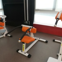 Machine commerciale MND-H9 en acier pour abdominaux et extensions dorsales