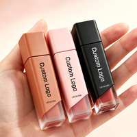 Gloss à lèvres liquide Beauty Brillo De Labios, vente en gros, fini mat, effet repulpant, longue tenue, maquillage des lèvres hydratant, brillant, nude, végan