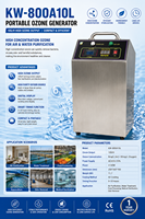 Générateur d'ozone manuel 10G pour systèmes de traitement alimentaire industriels, systèmes de filtration d'eau et systèmes d'osmose inverse