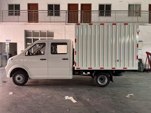<span class=keywords><strong>Pantera</strong></span> Mini camion 2 passeggeri CNG camion 1,6l carico utile Mini camion 2 Ton - Product Image 3