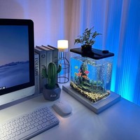 Aquarium transparent en acrylique, résistant aux chocs, petit réservoir écologique pour la décoration de salon à domicile