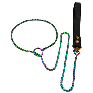 Venta al por mayor 4,5 MM 316L Acero inoxidable cachorro perro cuerda P cadena serpiente cadena perro estrangulador cadena Slip plomo manos libres correa de perro - Product Image 3