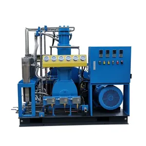 ossigeno aria 300 Bar Co2 impianto Booster compressore portatile azoto idrogeno Gas in vendita