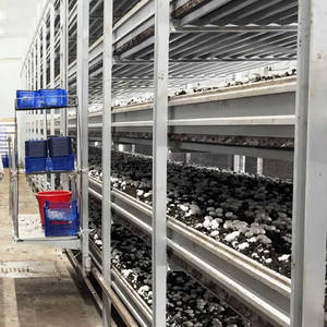 Heavy Load Button Mushroom <b>Cultivation</b> Rack Rustproof Aluminum Alloy Shelf For Large Mushroom Factory - Product Image 5