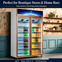 Réfrigérateur commercial à deux portes vitrées, finition or rose, éclairage LED, refroidissement par air, pour boissons et bouteilles, idéal pour les magasins de proximité et les cafés.