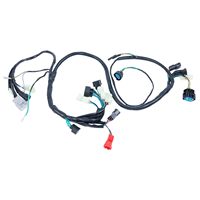 Harnais électronique personnalisé Hooha, assemblage de faisceau de câbles, conducteur en cuivre étamé, gaine en nylon/PVC, moto TRX450R