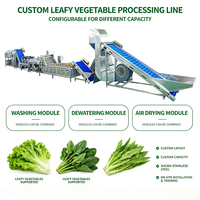 Baiyu 380V Automatische Bladgroente- en Fruitverwerkingsapparatuur Motorpomp voor de productie van sla, spinazie, kool, sojabonen en maïs