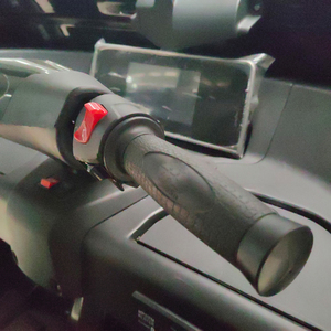 Tricycle à <span class=keywords><strong>3</strong></span> roues refroidi par eau de 250 cm³, véhicule de transport de passagers et de marchandises, avec suspension indépendante, carrosserie fermée, motorisé - Product Image 6