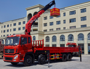 2 3.5 4 5 6 8 10 12 16 20 25 טון פרוג 'ן קיפול הרמת מנופים הידראוליים משאית - Product Image 3