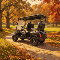 Voiturette de golf électrique individuelle en métal 2026 Rainbow personnalisable, avec moteur AC 4KW, 4 places, batterie lithium 48V, pour terrains de golf et clubs