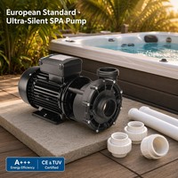 Bomba de Spa de 2 Velocidades y 3HP, 230V, Conector AMP, Unión de 2 Pulgadas (60.3mm), Certificación CE, Motor PROWAY de Doble Velocidad para Jacuzzi/Bañera de Hidromasaje