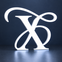 Enseigne lumineuse LED en acrylique étanche IP65, lettres en relief, personnalisable, en métal, acier inoxydable, transformateur inclus, pour usage en parc