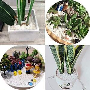 Kleine Witte Steen Voor Planten Pottingsucculenten Aquarium Aquarium Aquarium Gardenvazen Decoratieve Kiezels Grind Rotsen Voor Het Decoreren - Product Image 4