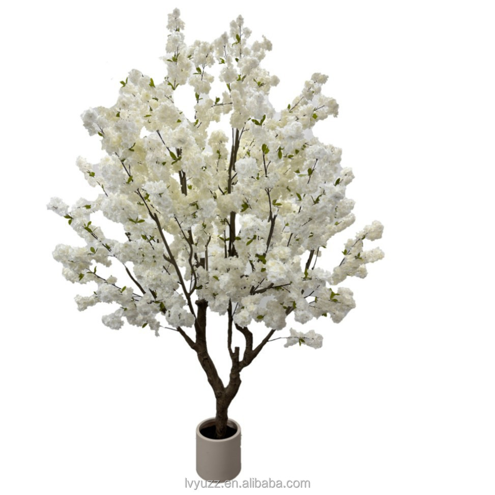 Cherry Blossom Tree 2