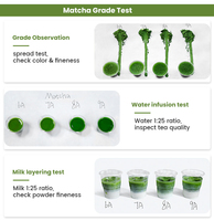 Poudre de thé matcha à la fraise - Mélange de superaliments verts avec saveur fruitée, sans gluten, végétalien, substitut de repas, boîte en vrac