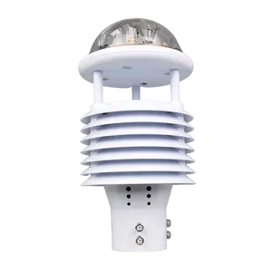 10 Elements For Wind Temperature Humidity Pressure Rainfall Illuminance Noise PM2.5 PM10 Ultrasonic Weather Station Sensor