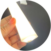 Le néon flexible de diffuseur d'OEM de la forme de V 22x13mm a mené le tube 5MM-6MM de silicone