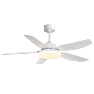Ventilatore da Soffitto con Luce per Soggiorno, Sala da Pranzo e Camera da Letto, Stile Nordico, Controllabile da Remoto e App, Silenzioso, Spettro Completo, Alta Potenza del Vento - Product Image 5
