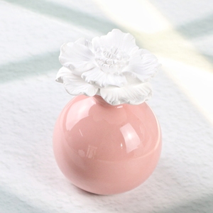 Bán Buôn Gốm Hương Thơm Khuếch Tán Chai Sứ Hoa Nhà Hương Thơm Máy Tính Để Bàn Hương Thơm Đá Thơm Phòng Nội Thất Hương Liệu - Product Image 1