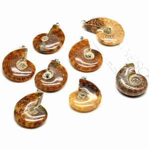 Collar de Fósiles de Caracol de Piedra Natural, Colgante de Concha, Piedra Semipreciosa, Regalo de Boda, Nuevo Cuidado DE LA <span class=keywords><strong>Piel</strong></span> - Product Image 2