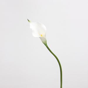 Lys Calla <span class=keywords><strong>Artificiel</strong></span> en PVC Effet Naturel Tête Unique 50cm pour Mariage, Saint-Valentin et Décoration Intérieure - Product Image 5