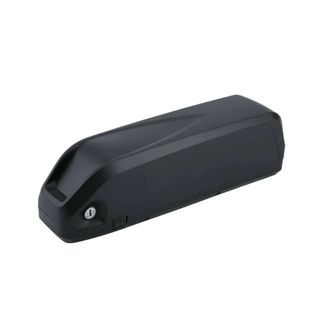 Hailong High Power Lithium Ion Battery 48V 1000W for Electric Bike 36v 52v 60v 72v 20ah 40ah Lithium Ebike Battery Pack