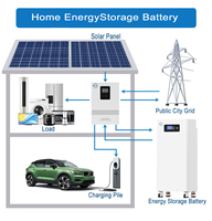 Baterai Lithium Lifepo4 15kwh 8000+ Siklus untuk Penyimpanan Energi Rumah 51.2v 300Ah Kapasitas Tinggi Sistem Tenaga Surya Tipe Lantai