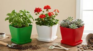 Macetas de Plástico Coloridas para Decoración del Hogar y Jardín - Macetas Duraderas y Elegantes en Rojo, Verde y Blanco Tamaño 13 - Product Image 5