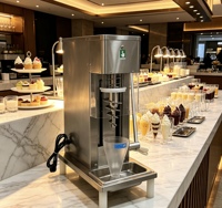 Petite machine à mélanger la crème glacée commerciale verticale en acier inoxydable pour les magasins de bubble tea