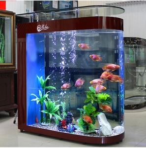 Aquarium écologique en forme de balle pour salon, grand écran, verre ultra-clair et courbé, pour poissons rouges de taille moyenne - Product Image 5