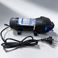 Pompe à eau à diaphragme 230V AC 3,3 GPM 35 PSI 12,5 LPM auto-amorçante avec prise pour l'irrigation domestique et de jardin