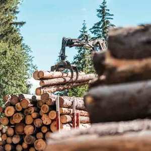 Wholesale <strong>Custom</strong> 6-<strong>String</strong> Acoustic Travel <strong>Guitars</strong> Economical Option in 30/36/38/40/41 Inch Sizes for Kids Musical Instrument - Product Image 2