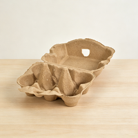 Biodegradable Paper Pulp 6 Cell Moisture Resistant Stackable Eco Friendly Packaging Wholesale Egg Tray