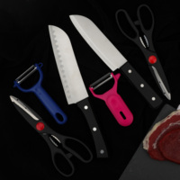 Ensemble de couteaux de cuisine avec couteau Santoku, éplucheur et ciseaux. Manche en PP antidérapant, antirouille. Idéal pour le poisson, la viande, les herbes et l'épluchage des fruits.